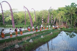 Bali Site Small20
