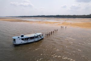 Tiny_Amazónia_035