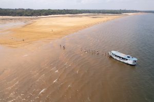 Tiny_Heal Me - Amazonia 2023 - Dia 6 - 3