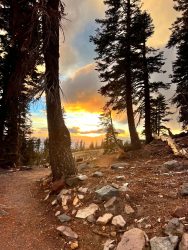 Mount Shasta Retreat 2025 - 9