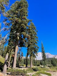 Mount Shasta Retreat 2025 - 13