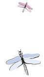 ilustração (1)